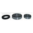 Radlagersatz AL-KO 1625-1635 SB und SR