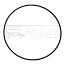 Knott Rundring für Fettkappe 64 mm...