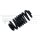 Westfalia Schraubenfeder schwarz 900 kg B-Ware